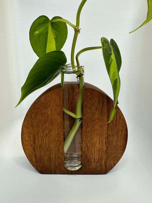 Hardwood Propagation Station