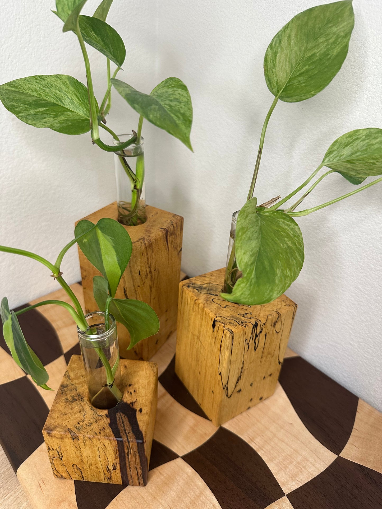 3 Tier Hardwood Propagation Station