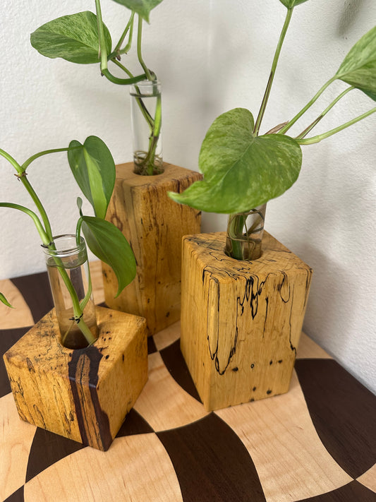 3 Tier Hardwood Propagation Station