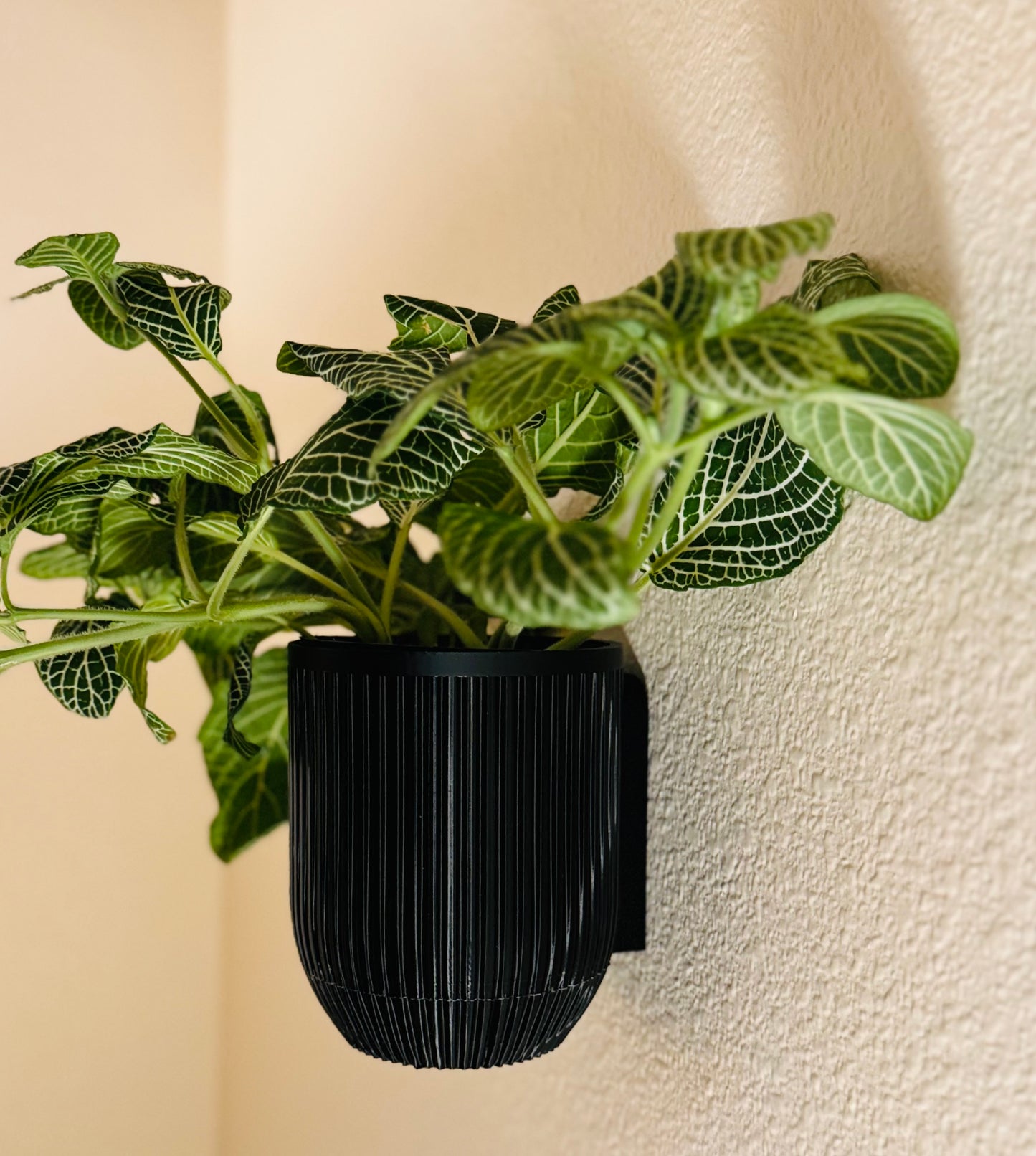 Wall Mount Planter