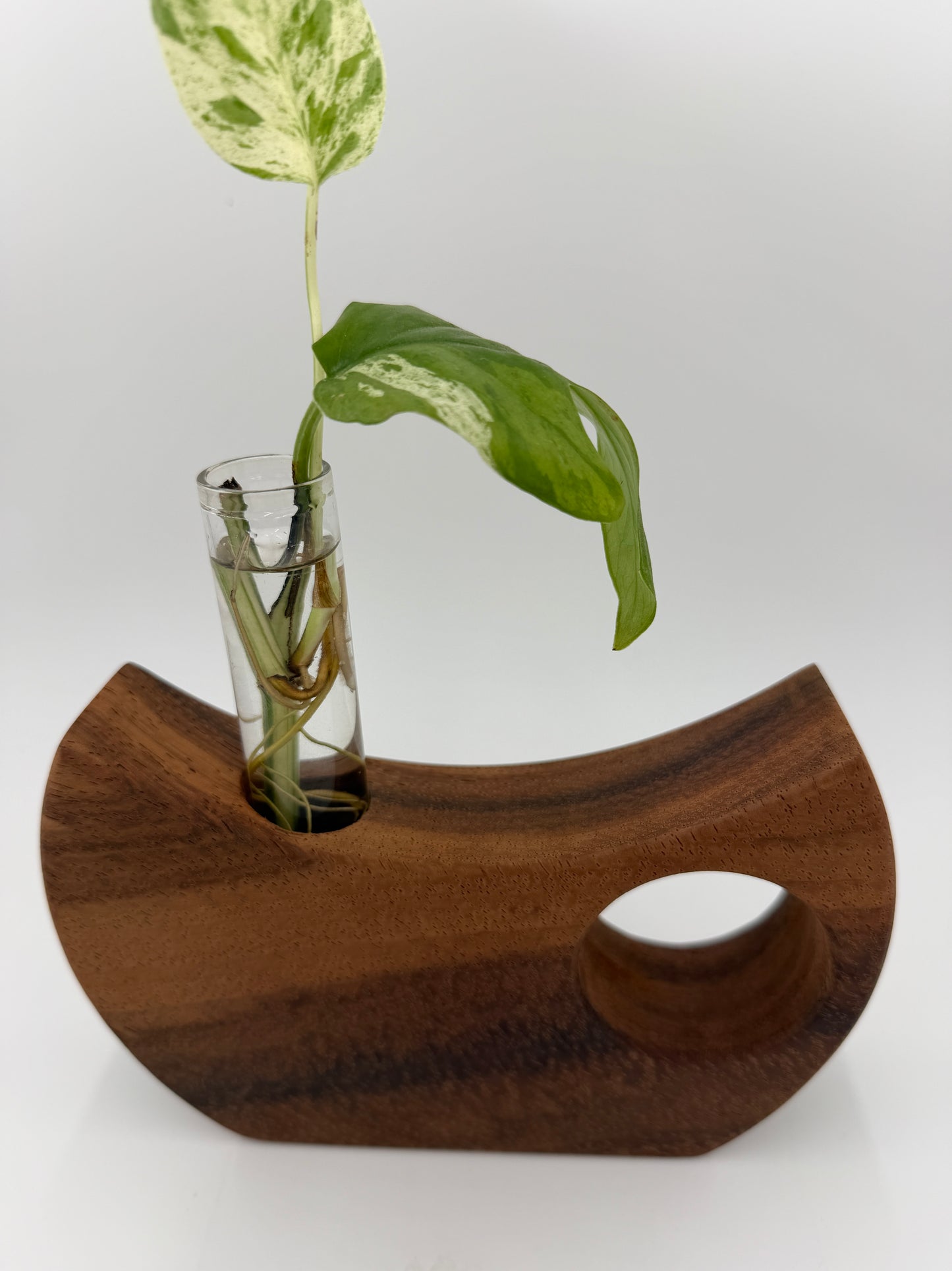 The Cresent Propagation Station