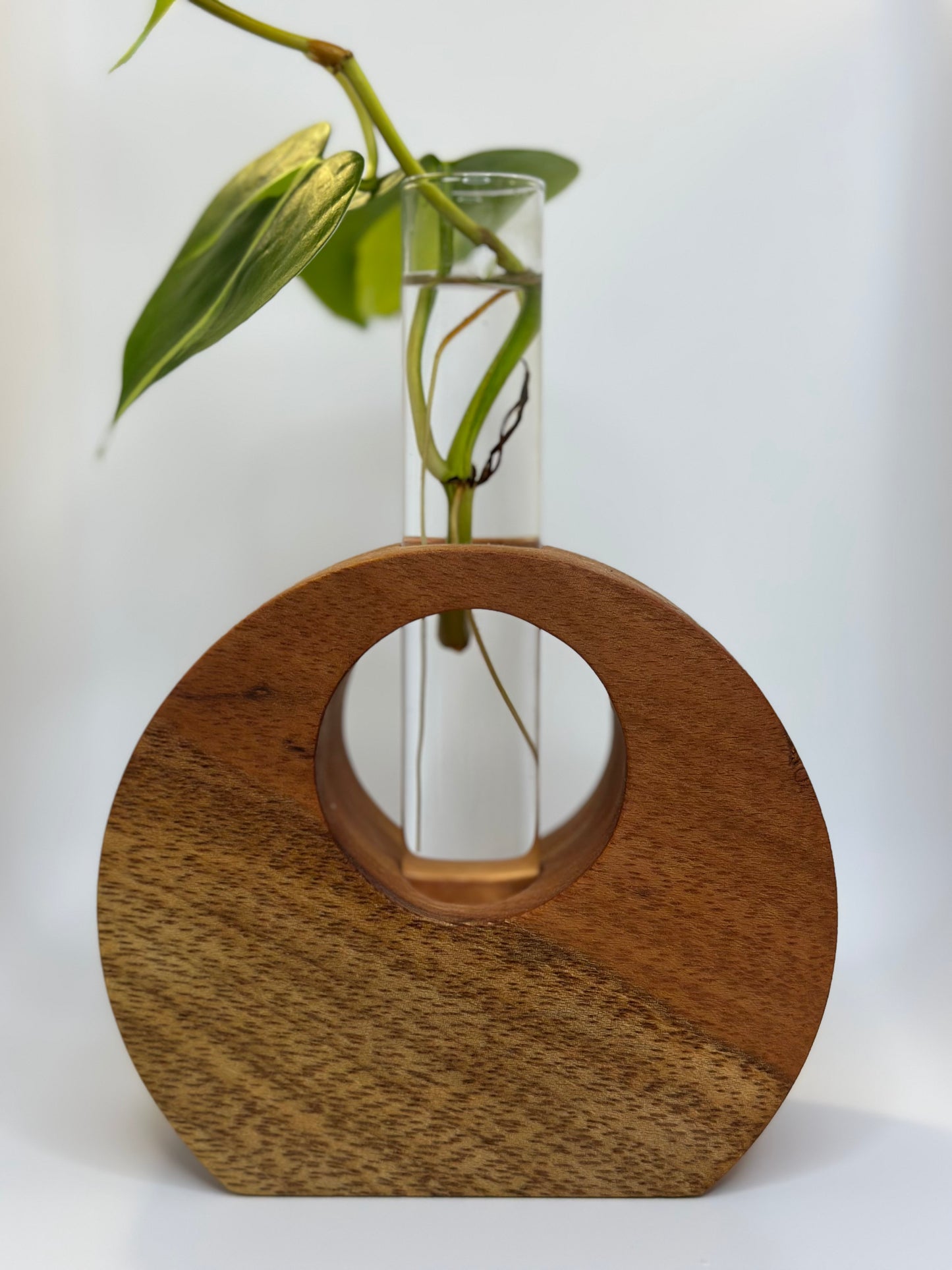 Exotic Propagation Stations
