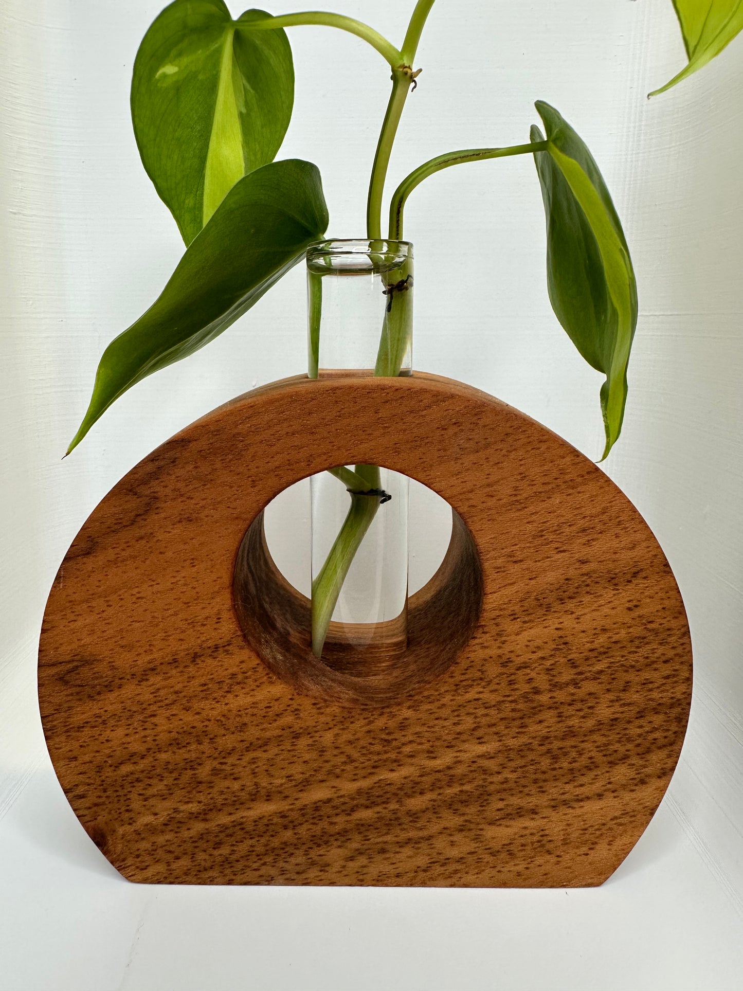 Exotic Propagation Stations