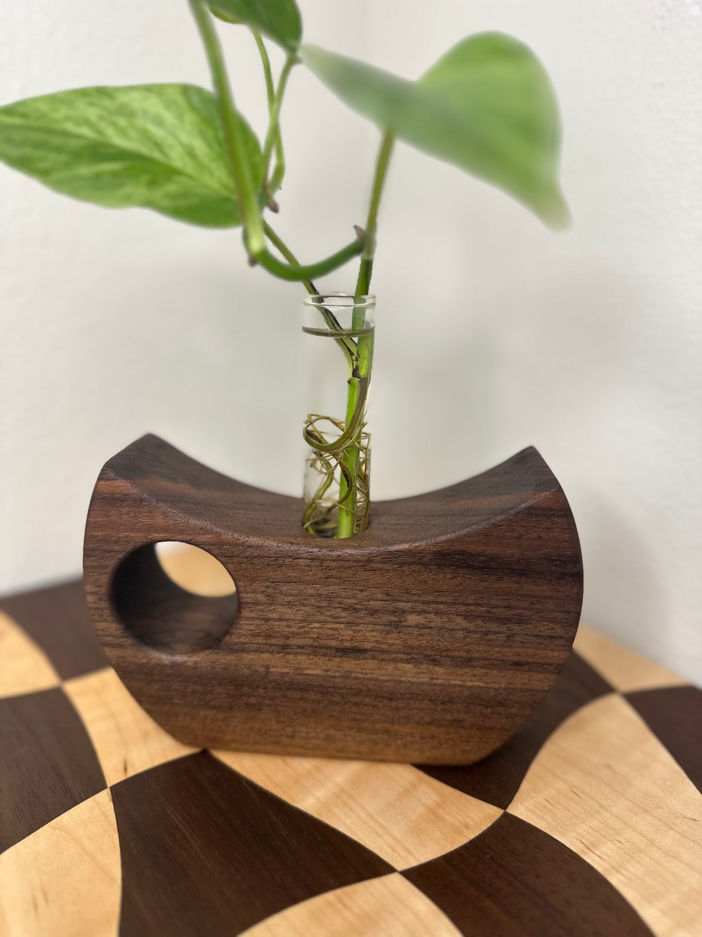 Cresent Propagation Station