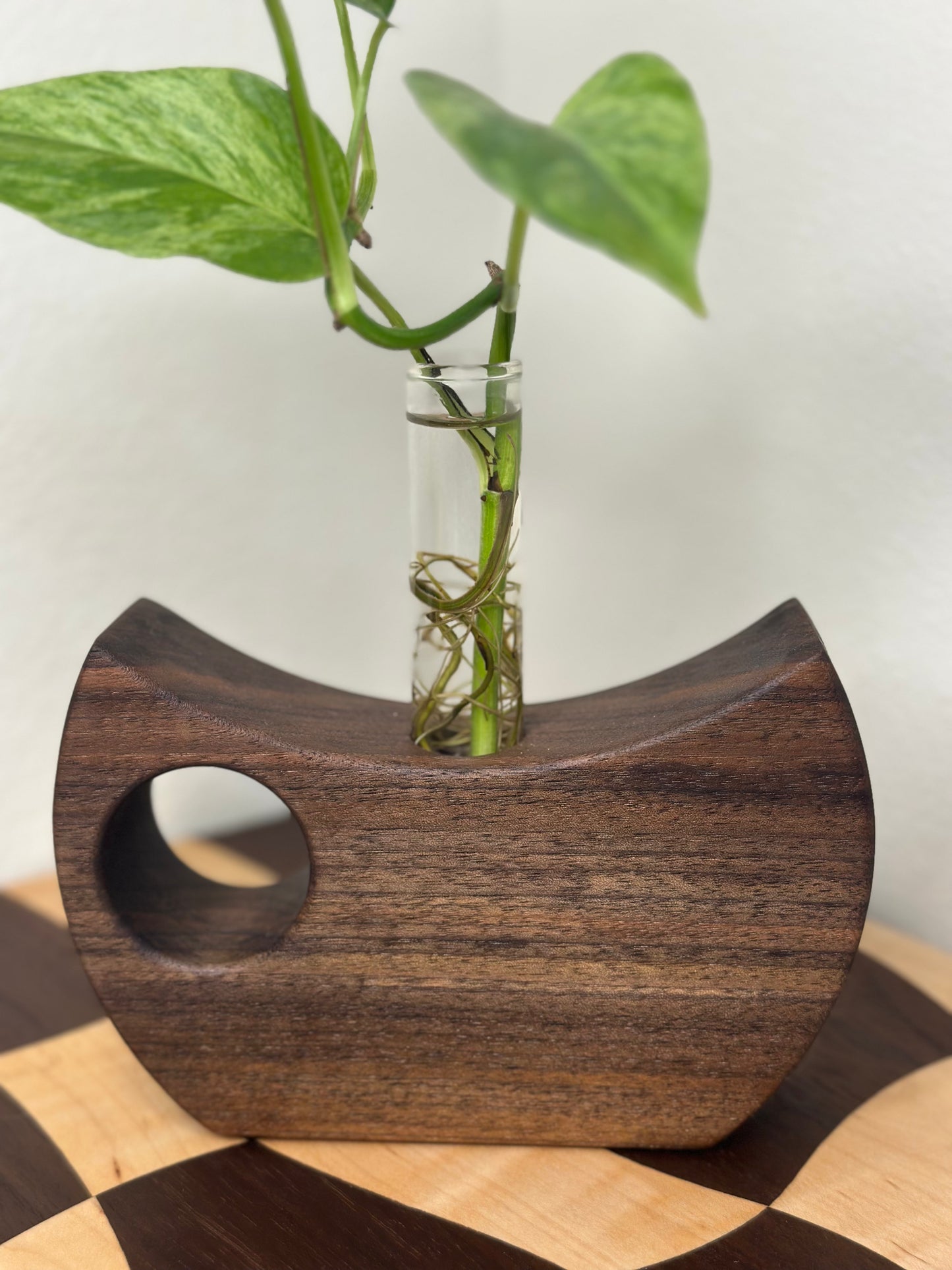 Cresent Propagation Station