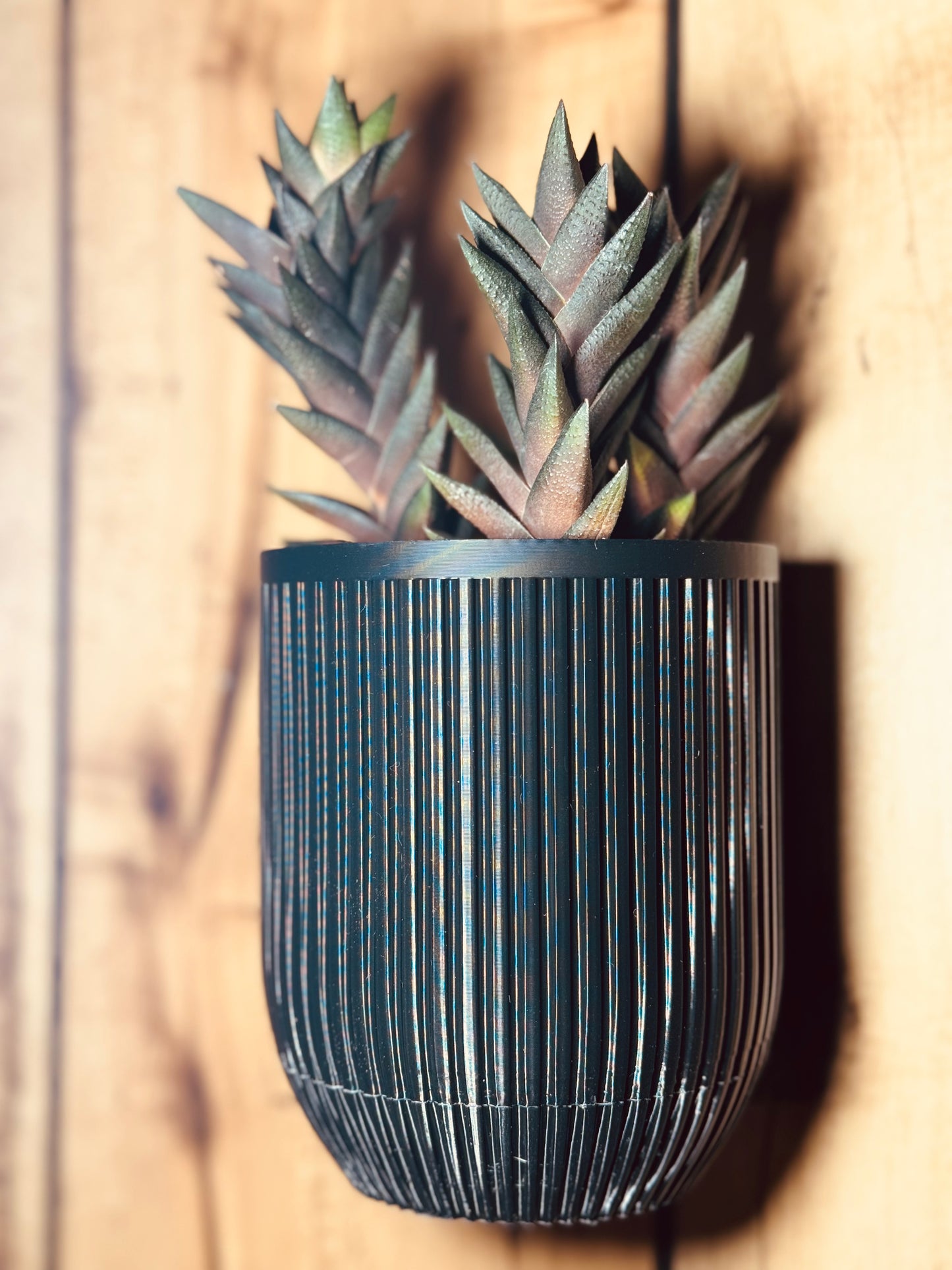 Wall Mount Planter