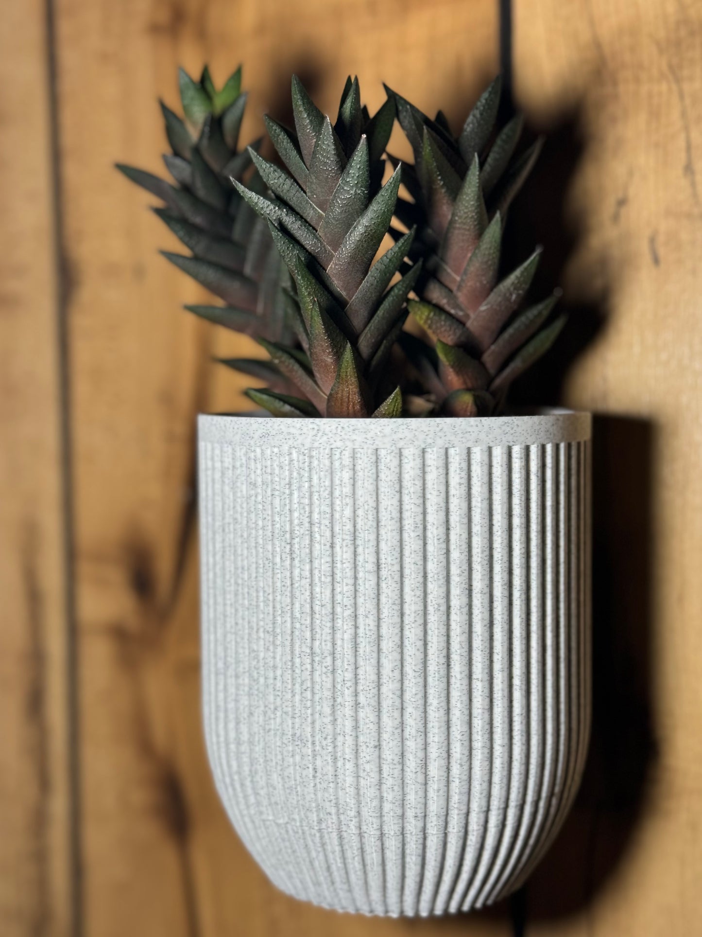 Wall Mount Planter