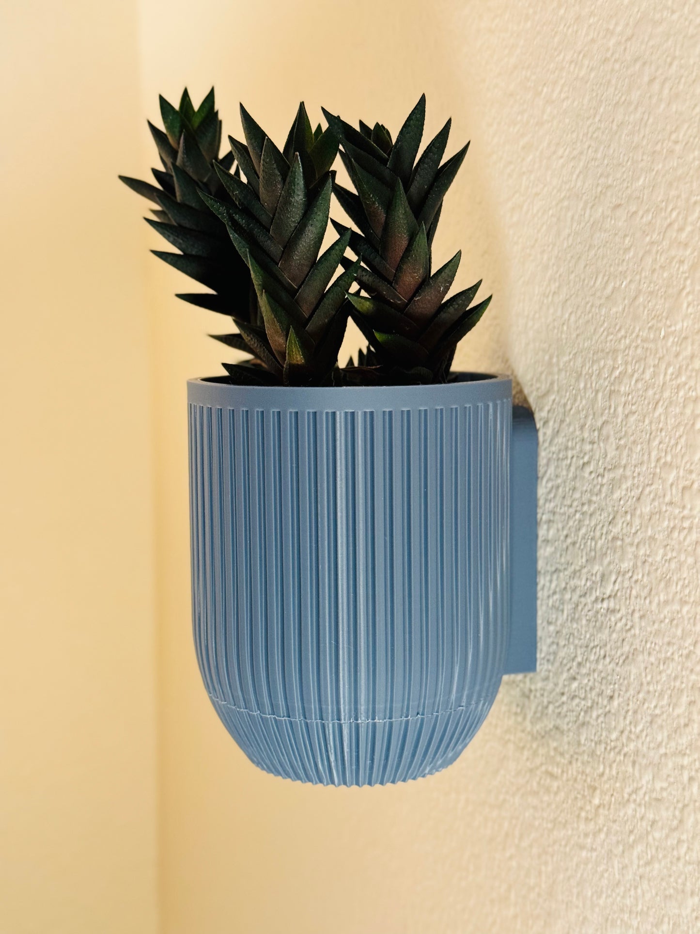 Wall Mount Planter