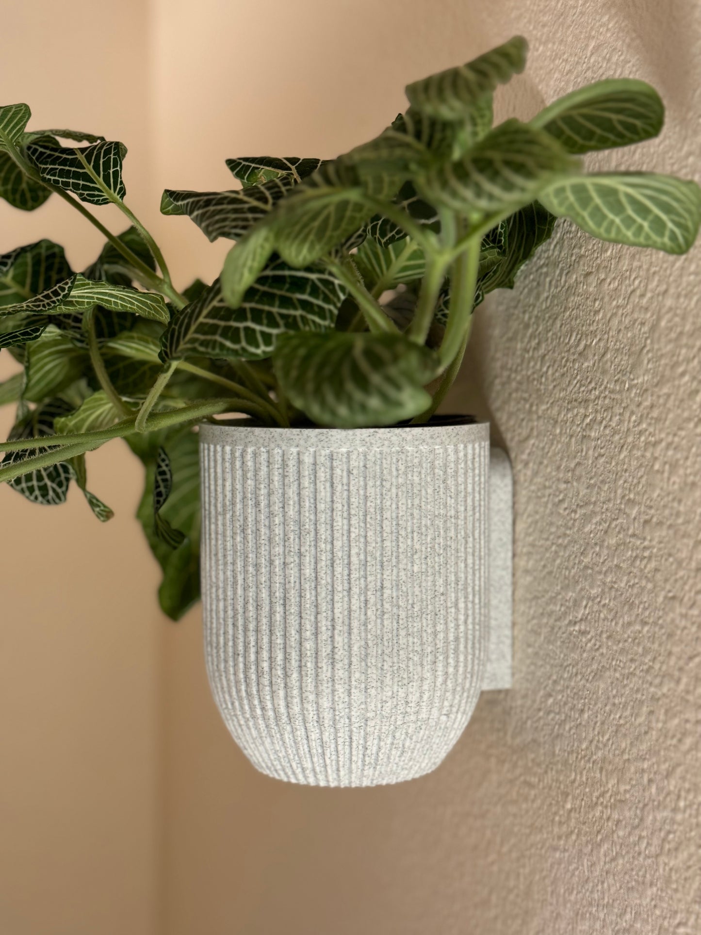 Wall Mount Planter