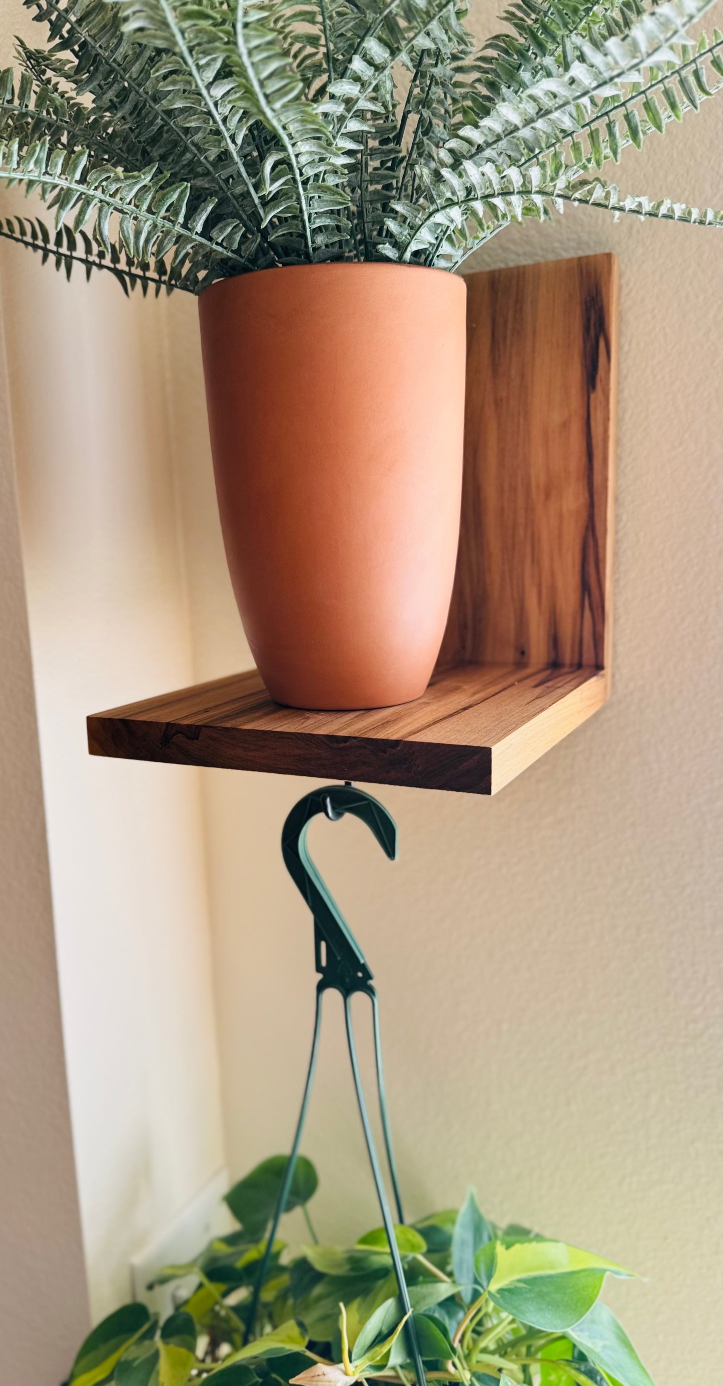 Hanging Plant Shelf