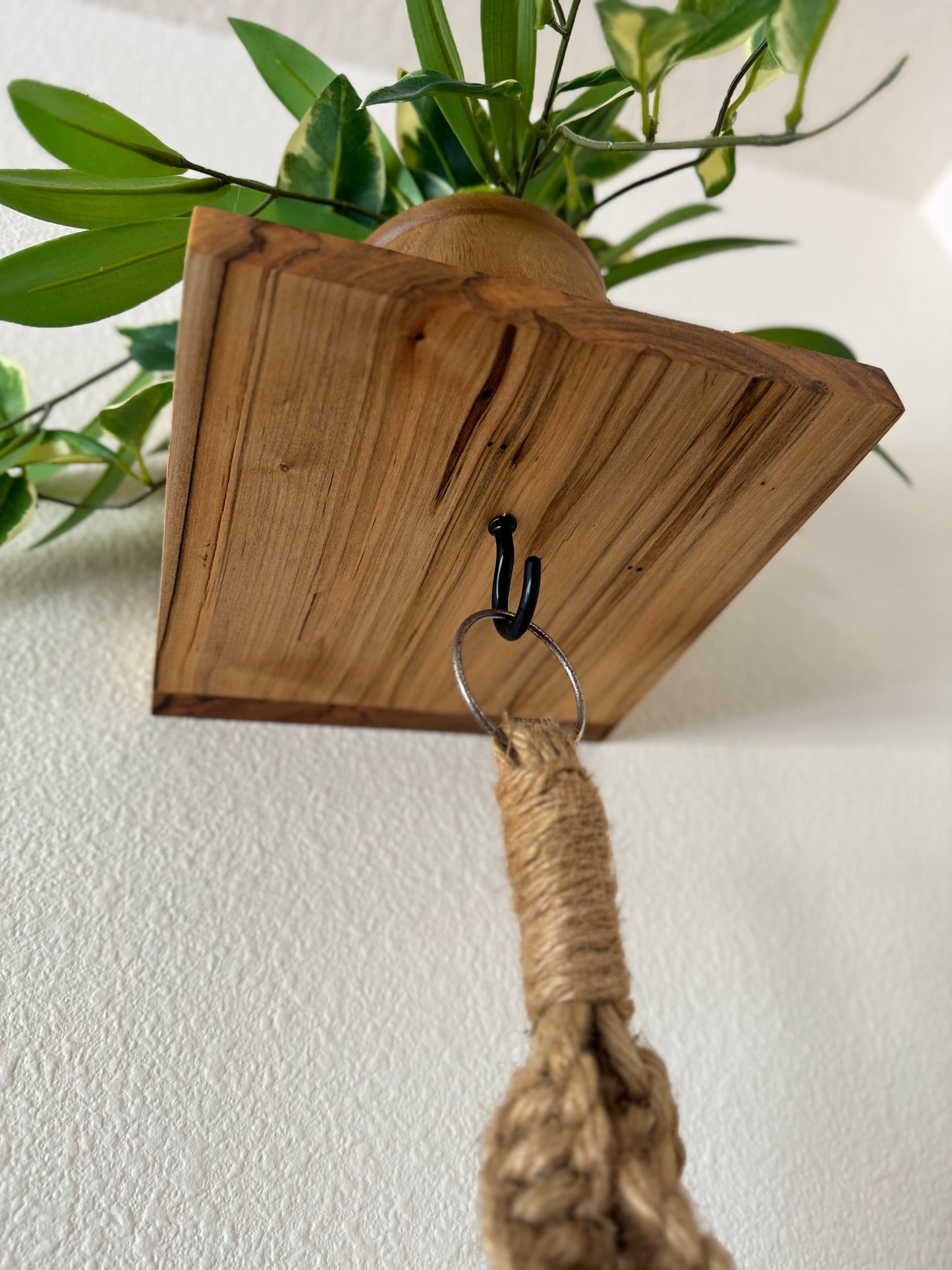 Hanging Plant Shelf