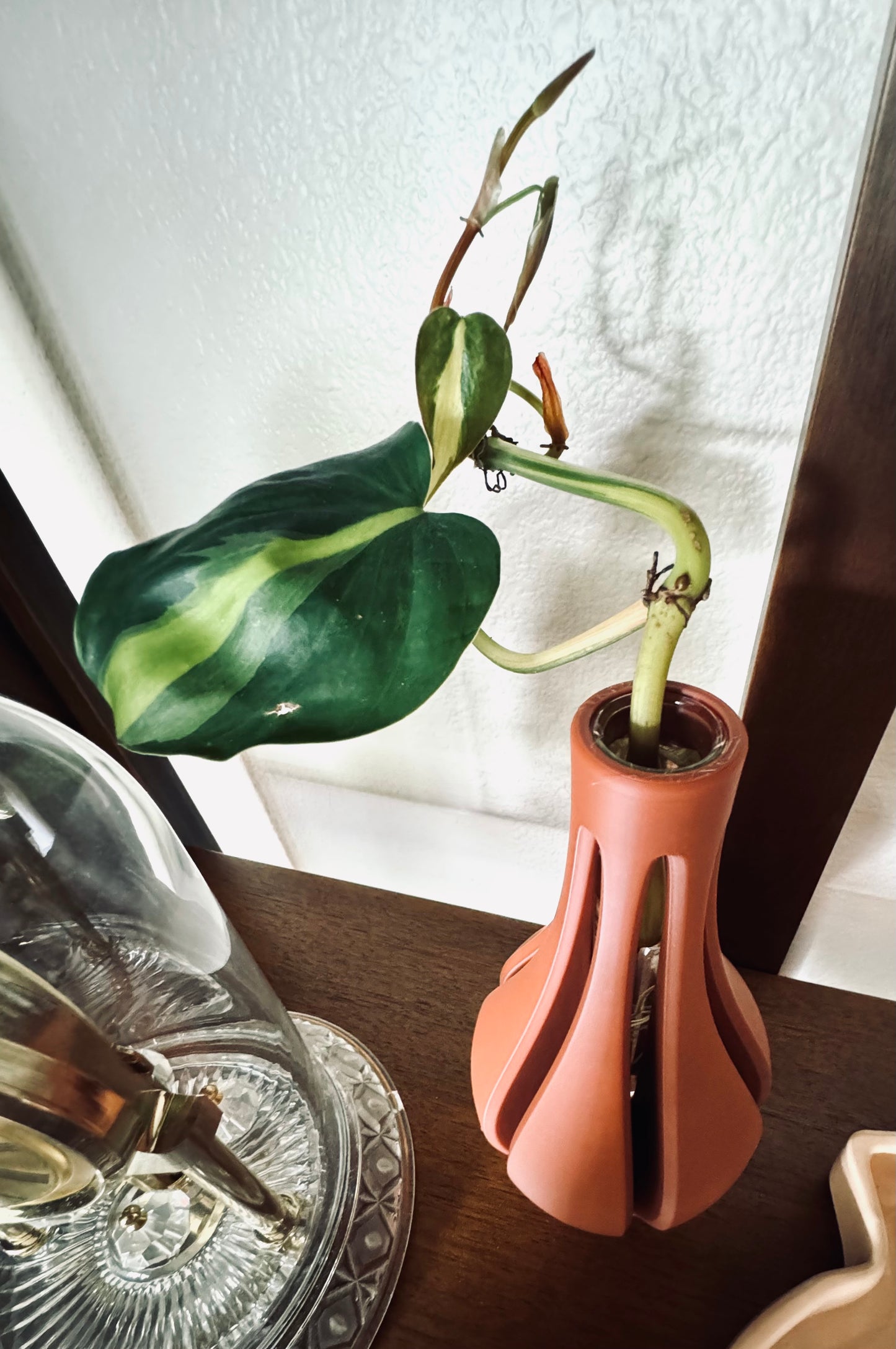 Propagation Vase