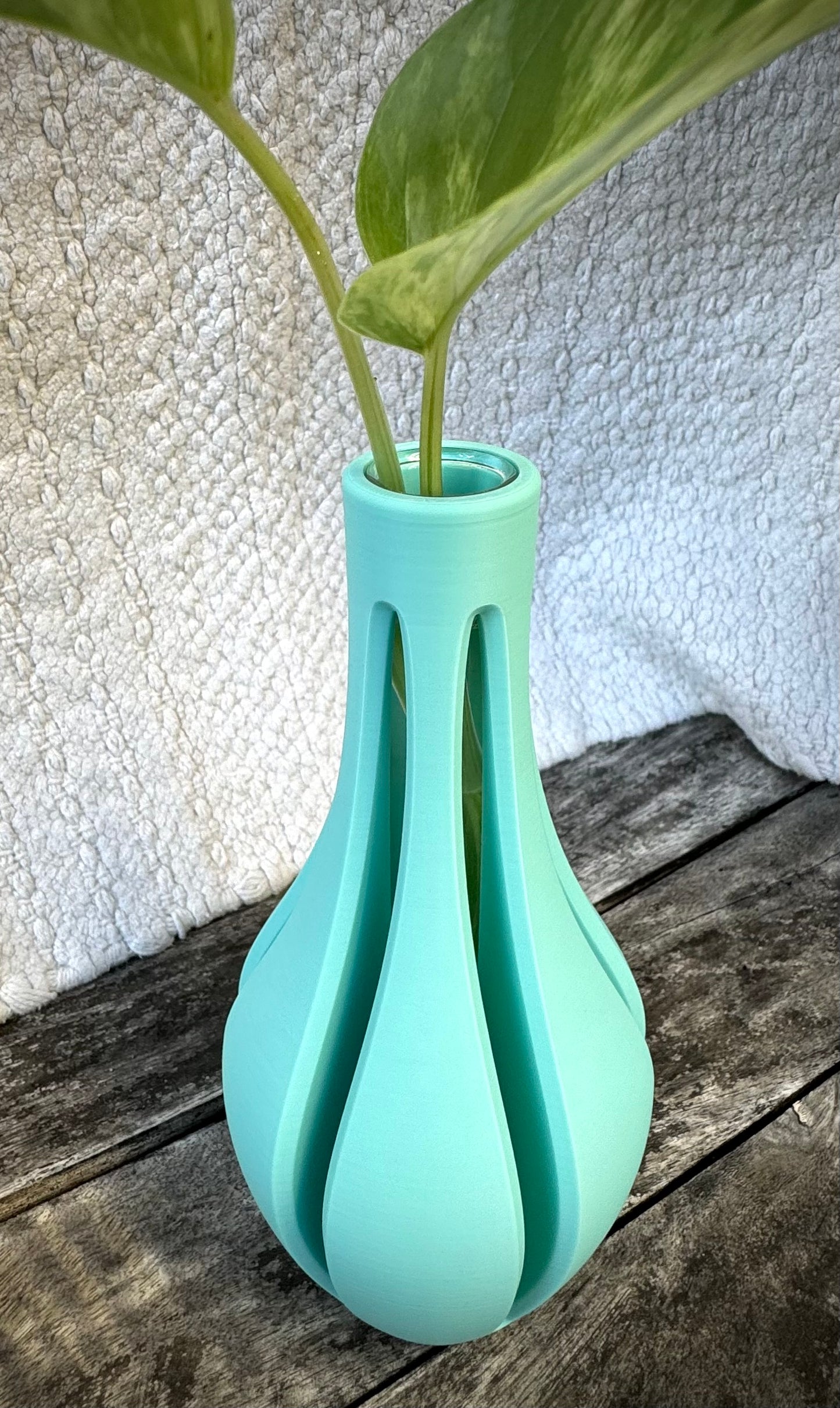 Propagation Vase