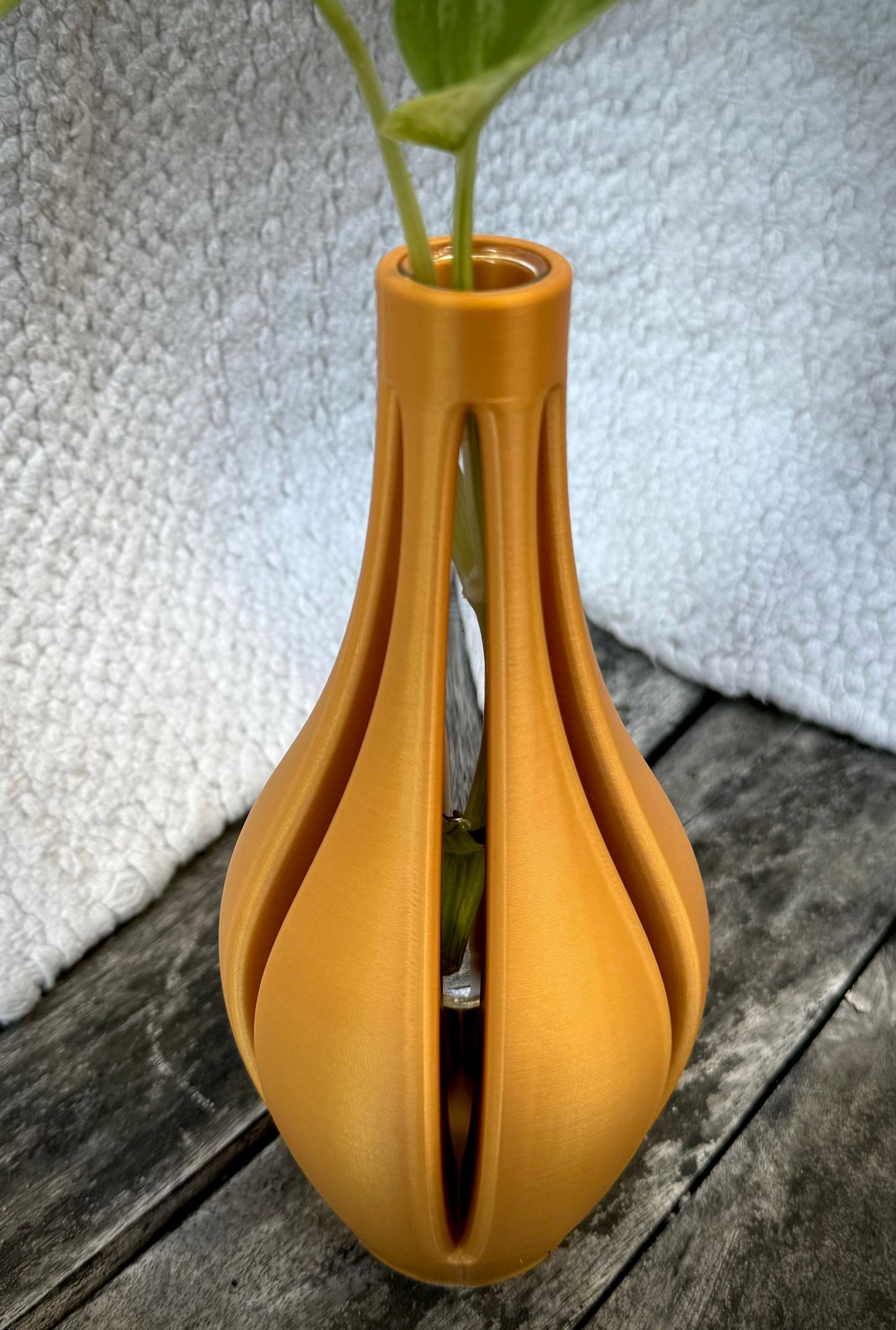 Propagation Vase