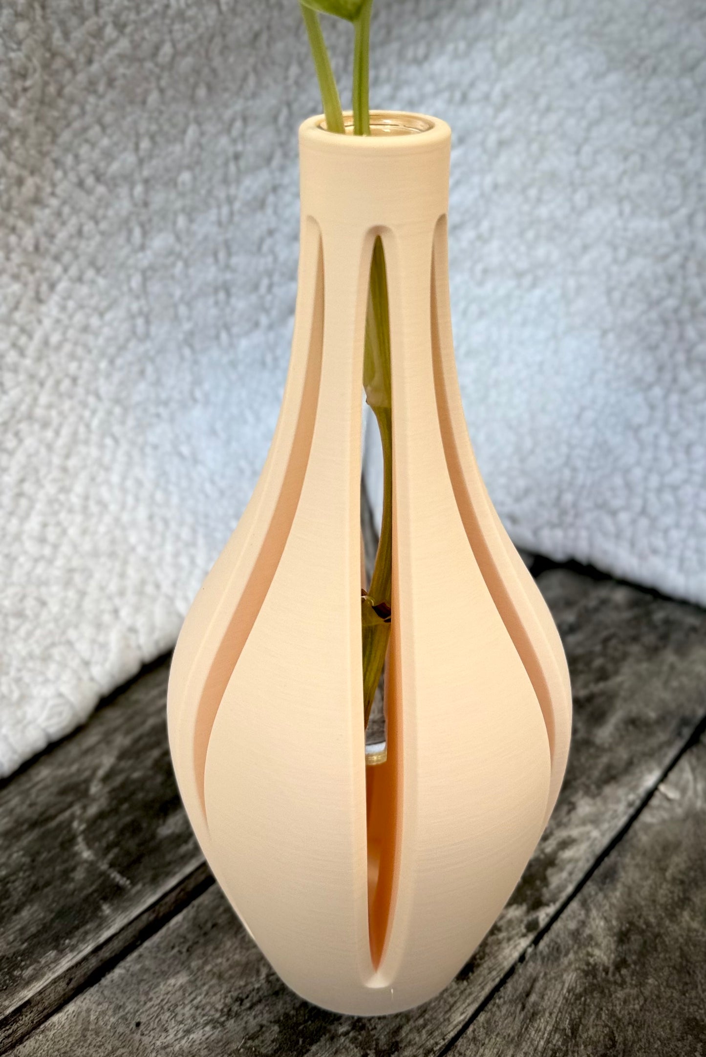 Propagation Vase