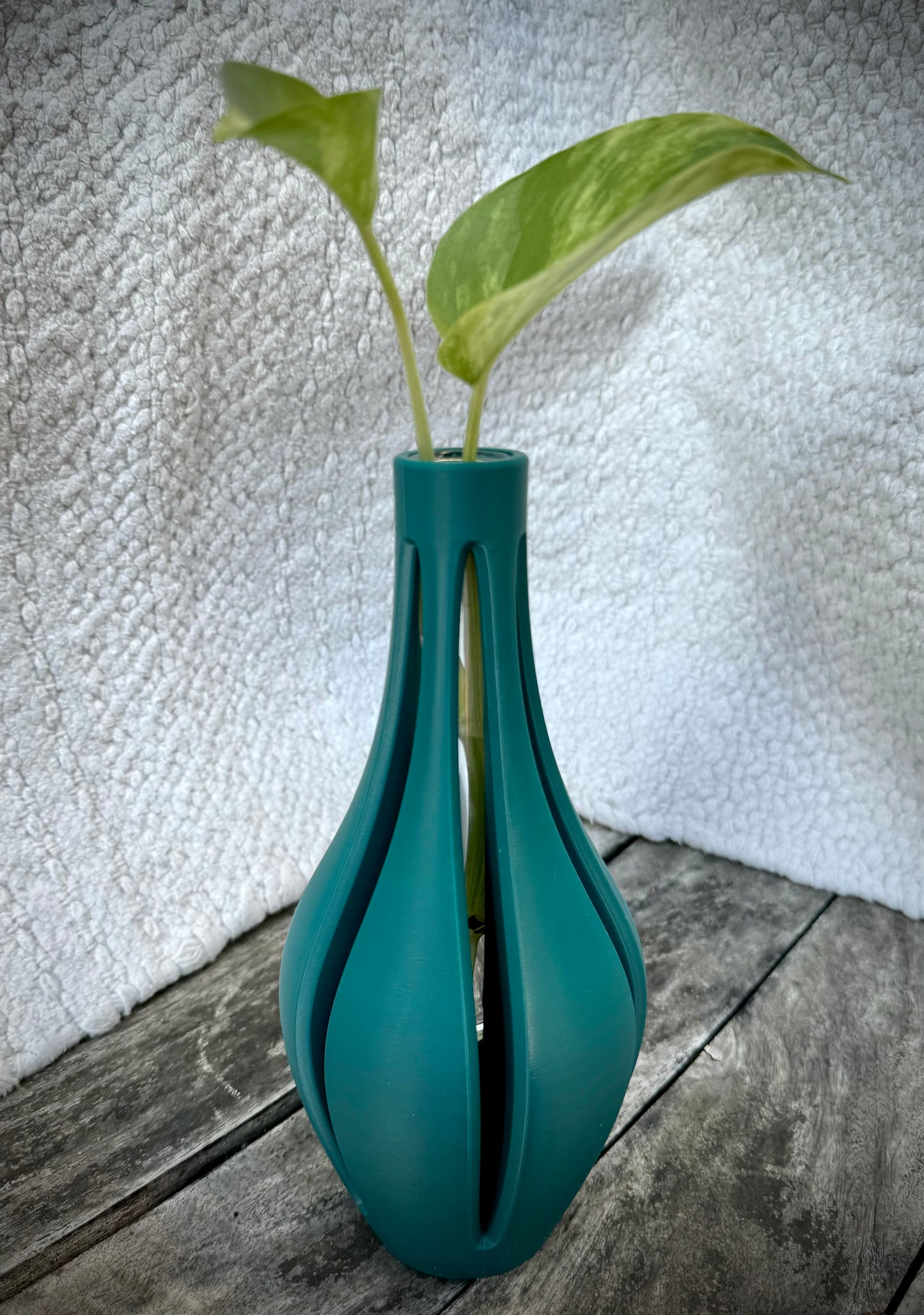 Propagation Vase