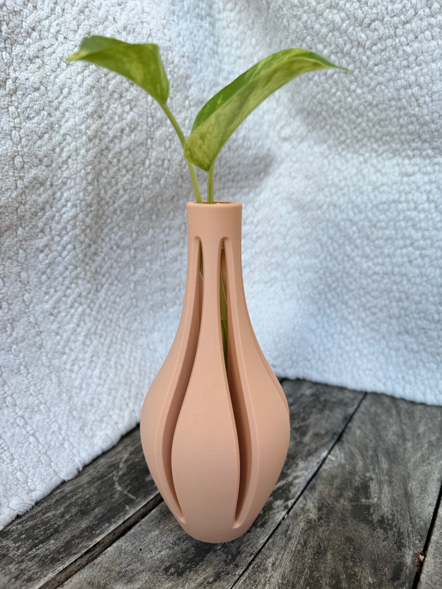 Propagation Vase