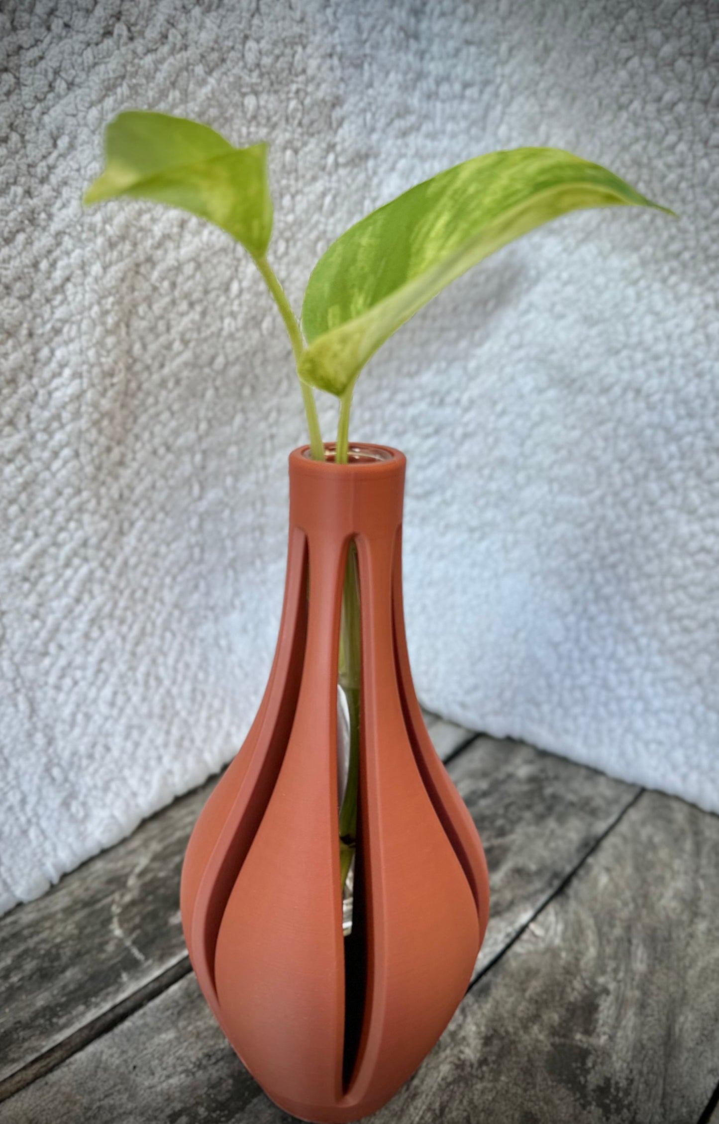 Propagation Vase