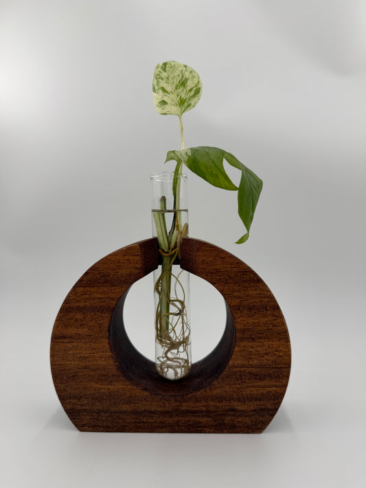 The Ring of Life Propagation Station