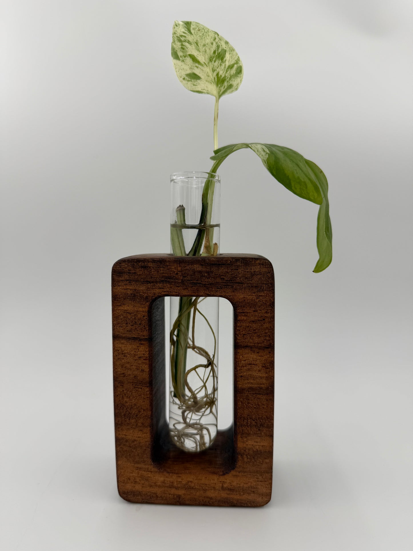 The Frame Root Propagation Station