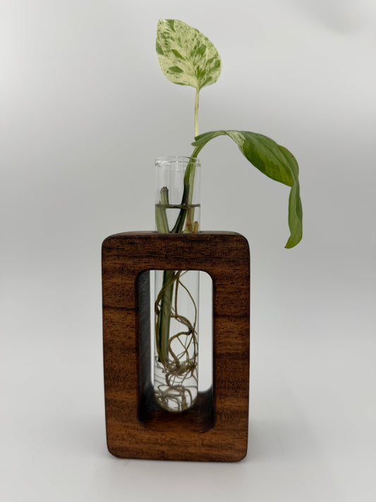 The Frame Root Propagation Station