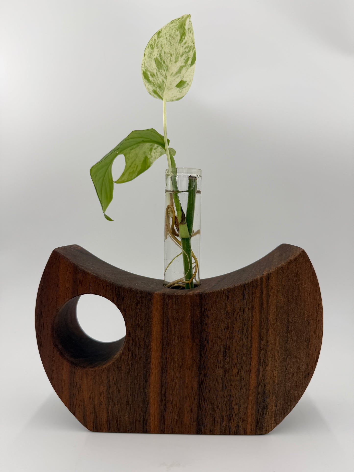 The Cresent Propagation Station