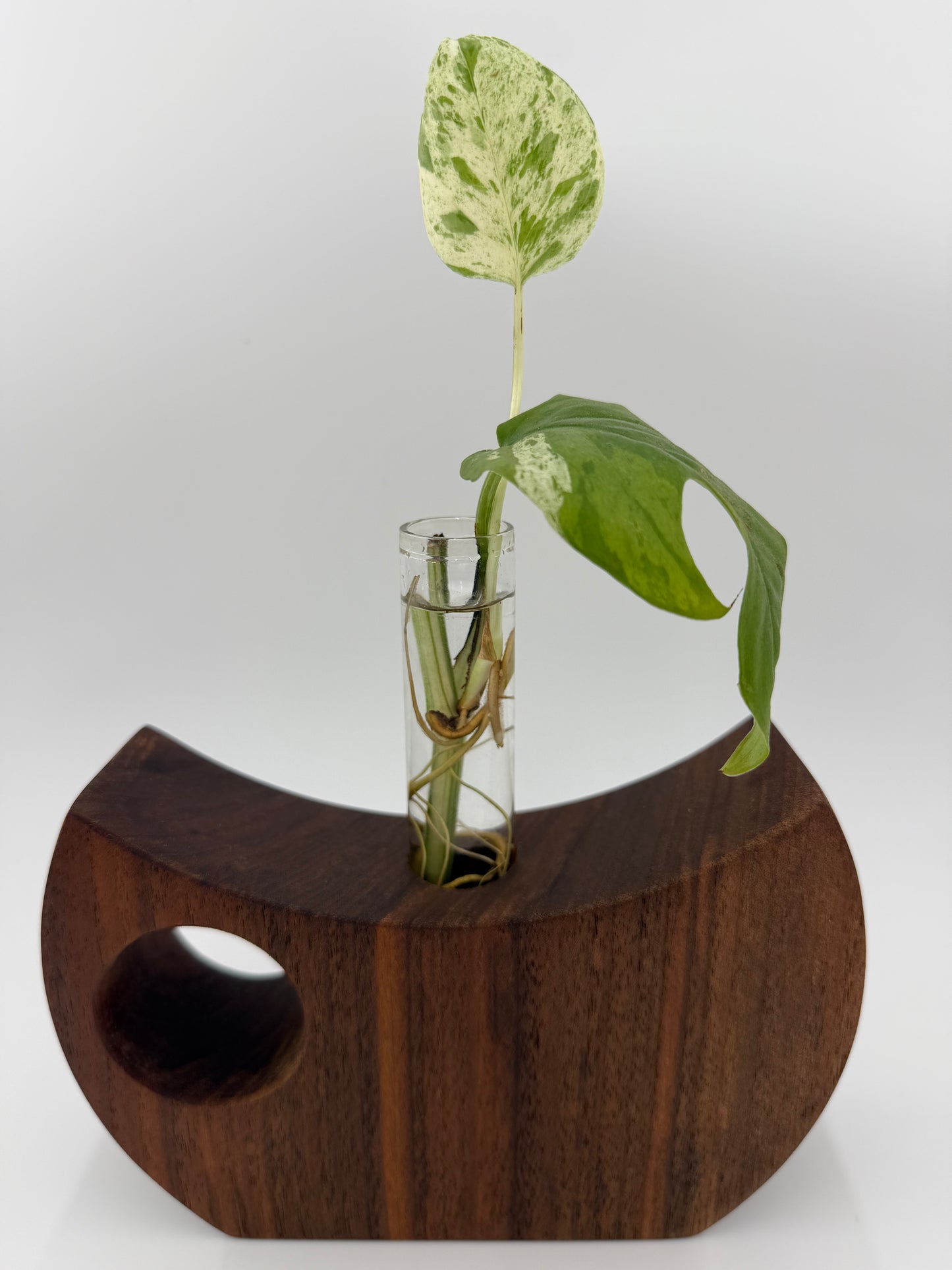 The Cresent Propagation Station