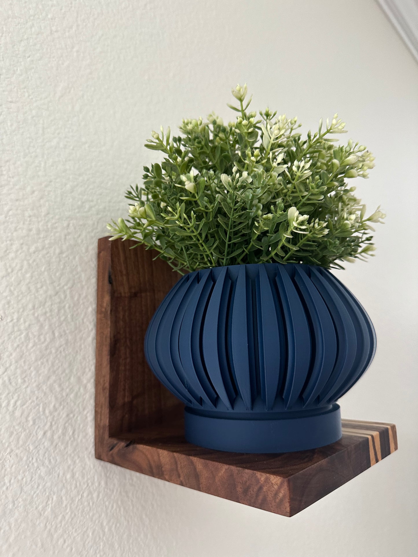 Hanging Plant Shelf